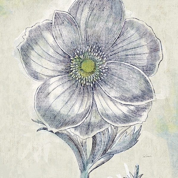 Belle Fleur II