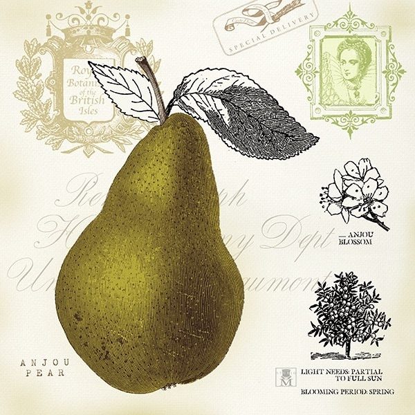 Pear Notes