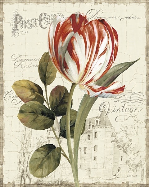 Garden View IIRed Tulip