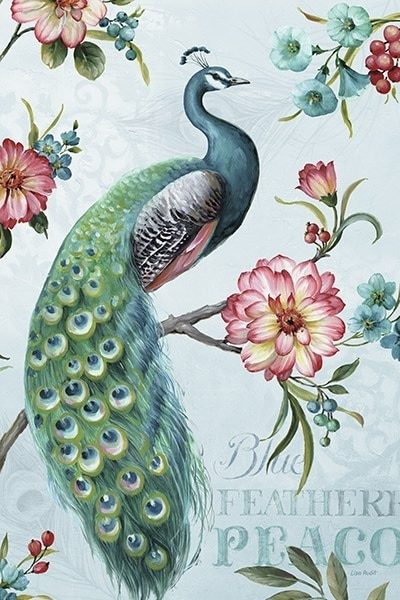 Blue Feathered Peacock I