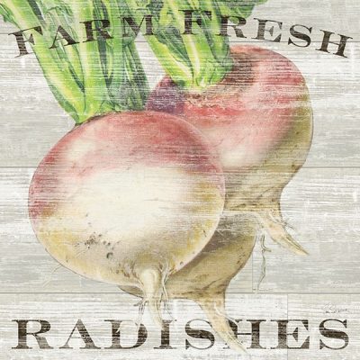 Farm Fresh Radishes