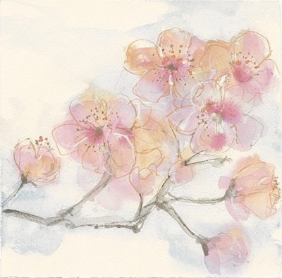 Pink Blossoms III
