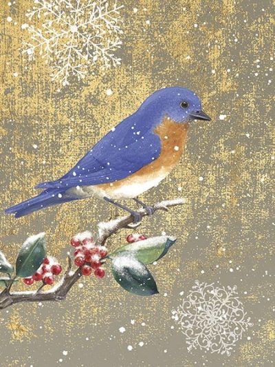 Winter Birds Bluebird Color