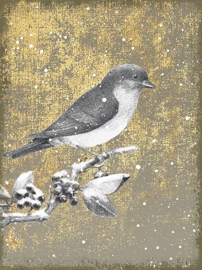 Winter Birds Bluebird Neutral