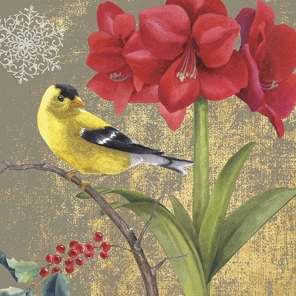 Winter Birds Goldfinch Collage