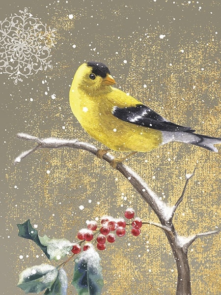 Winter Birds Goldfinch Color