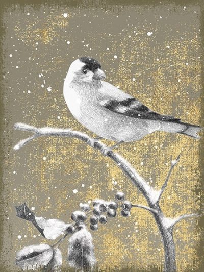 Winter Birds Goldfinch Neutral