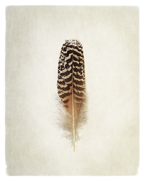 Feather I