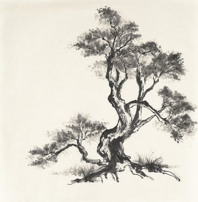 Sumi Tree I