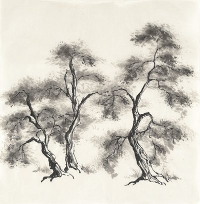 Sumi Tree III