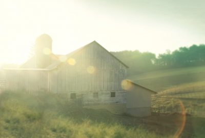 Farm Morning II