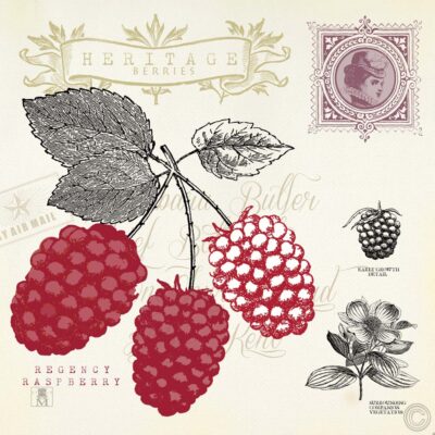 Raspberry Notes