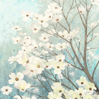 Dogwood Blossoms I