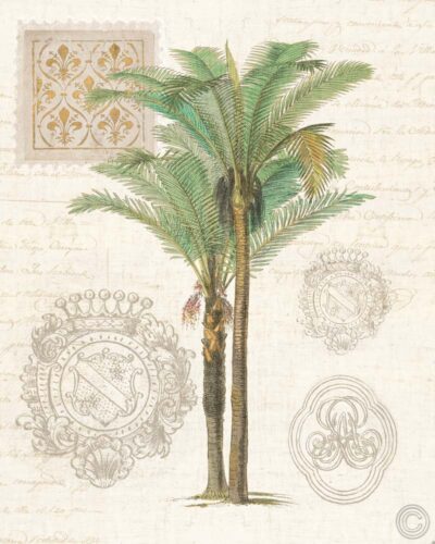 Vintage Palm Study II