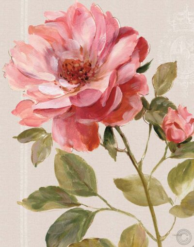 Harmonious Rose Linen