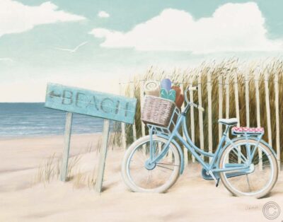 Beach Cruiser II