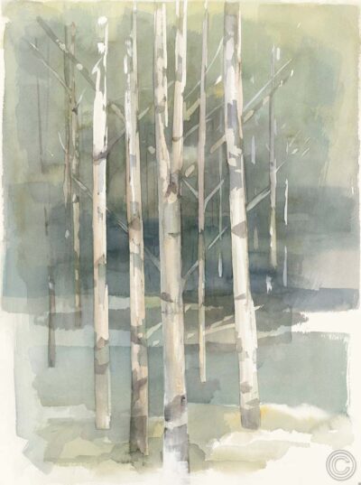 Birch Grove I