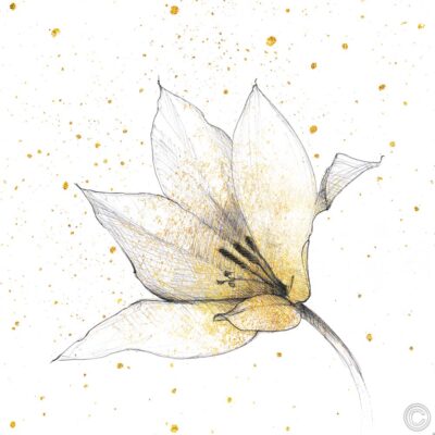 Gilded Graphite Floral IX