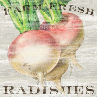 Farm Fresh Radishes