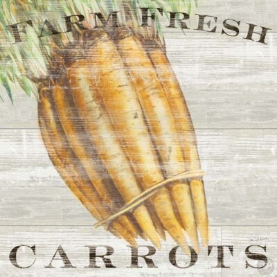 Farm Fresh Carrots