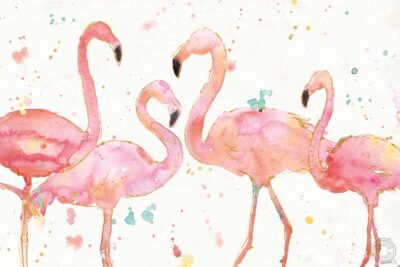 Flamingo Fever I