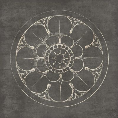 Rosette III Gray