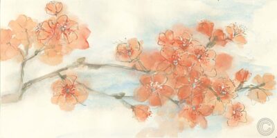 Peach Blossom I