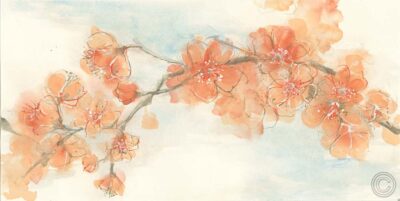 Peach Blossom II