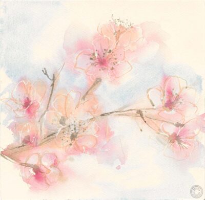 Pink Blossoms II