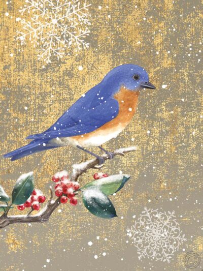 Winter Birds Bluebird Color