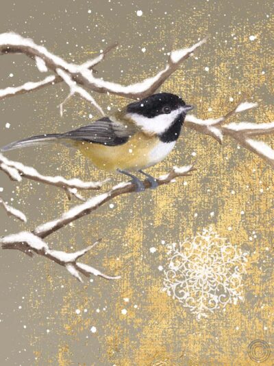 Winter Birds Chickadee Color