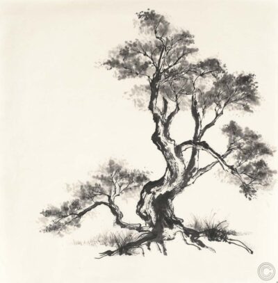 Sumi Tree I