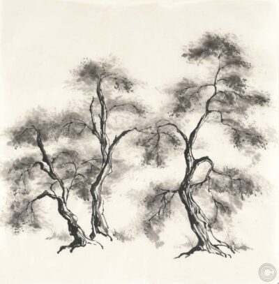 Sumi Tree III