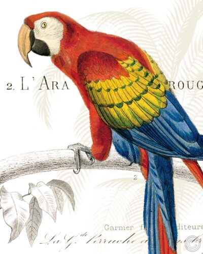 Parrot Botanique II