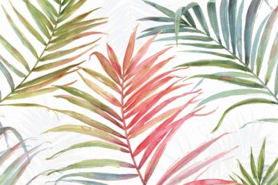 Tropical Blush IV