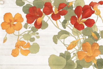 Summer Nasturtiums Cottage