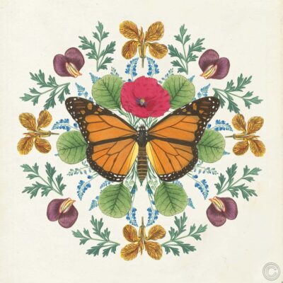 Butterfly Mandala I