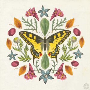 Butterfly Mandala III