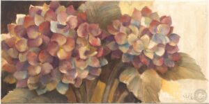Hydrangea Flowers