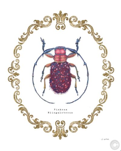 Adorning Coleoptera II