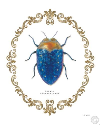 Adorning Coleoptera V