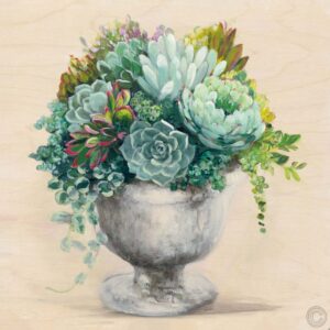 Festive Succulents I