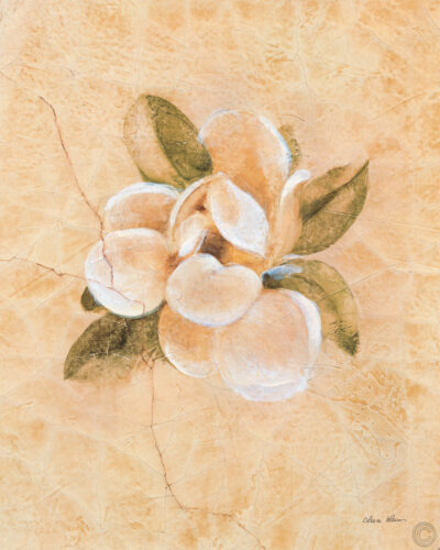 Magnolia sobre lino agrietado