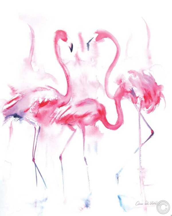 Tres Flamingo