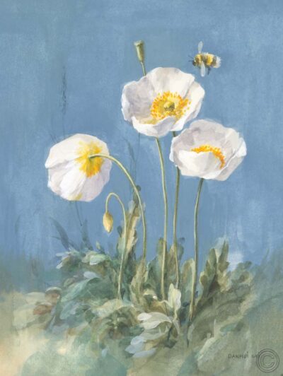 Amapolas blancas II