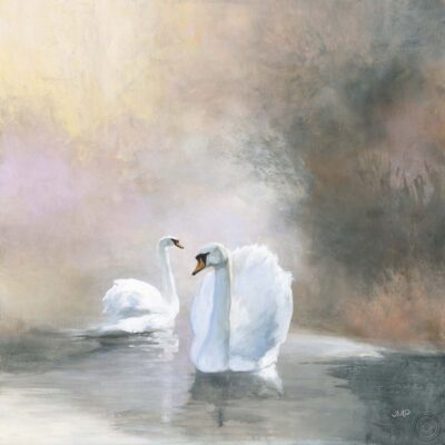 Cisnes en la niebla