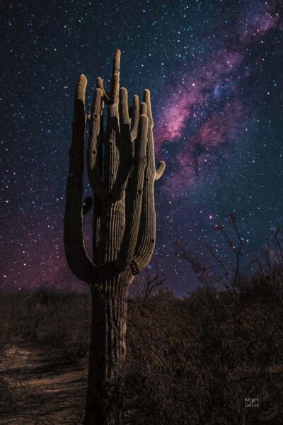 Noche en desierto
