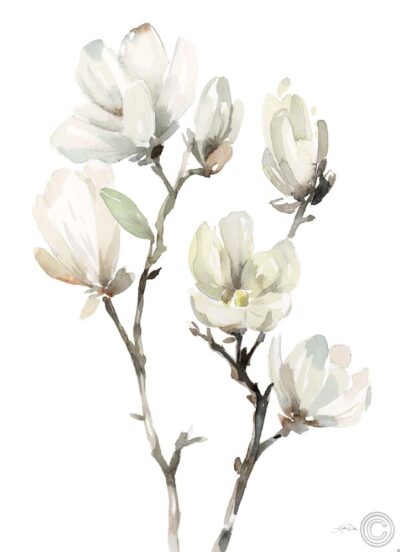 White Magnolia III