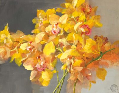 Orquídea soñando