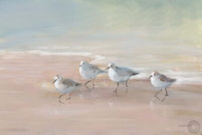 Shorebirds on the Sand I